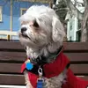 Susan Moir - @susan.moir6 - TikTok