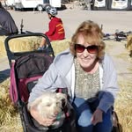 Susan Moller - @susan_moller_ - Instagram