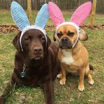 Susan Molnar Fattman - @susanfattman5 - Instagram