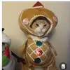 susanmolnar122 - @susanmolnar122 - TikTok