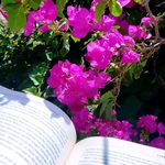 𝑺𝒖𝒔𝒂𝒏 𝑨𝒍𝒂𝒔𝒎𝒂𝒓 || ســوزن ﺍلأسـمـر - @susan_moneer - Instagram