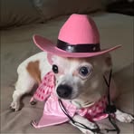 Susan Morris - Facebook