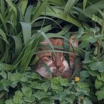 Susan Morison - @susan.morison.18 - Instagram