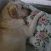 Suzanne Morrow - Facebook