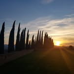 Susan Morton - @susanmorton3633 - Instagram