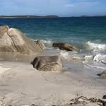 Susan Morton - @susanmorton45 - Instagram