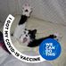 Susan Mosca - Facebook