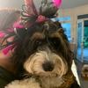 Susan Mowery Ballard - @susanmoweryballard - TikTok
