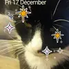 Susan Mucha - @susan.mucha1 - TikTok