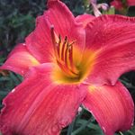Susan Muench - @susan.muench - Instagram