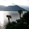 Susanne - @susanne.muench75 - TikTok
