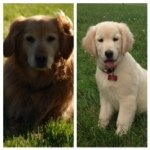 Susan Mull - @susan_mull - Instagram