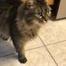 Susan Muller - Facebook