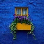 Susan Mullaney - @susan.mullaney.35 - Instagram