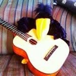 Susan Mumma - @susanmumma - Instagram