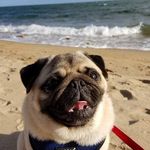 Susan Munch - @suemunch1 - Instagram