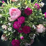 Susan Muncy - @ishwarjajere - Instagram