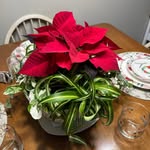 Susan Muncy Elliott - @susanm50 - Instagram