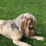 Sue Munns - @susan_munns - Instagram