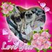 Sue Munter - Facebook