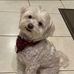 Susan Kim Murata - Facebook