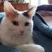 Susan Negron - Facebook