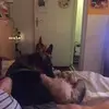 Susanne Groneberg628 - @susannegroneberg6 - TikTok