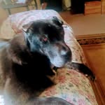 Susan Nester - @nestersusan53 - Instagram