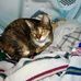 Susan Nester - Facebook