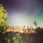 Susana Nevarez - @susana_nevarez - Instagram