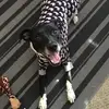 susanwanzornevarez - @susanwanzornevarez - TikTok
