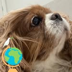 Susan Newcombe - @sjnln78 - Instagram