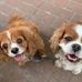 Susan Newcombe - Facebook