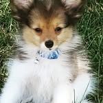 Susan Nicely - @suesbabiesdtth - Instagram