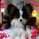 Susan Stephenson Nicely - @susannicely53 - Instagram