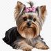 Susan Nicklin Wyckoff - Facebook