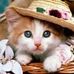 Susan Noon - Facebook