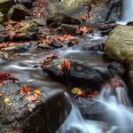 Susan Noon - @noon.susan - Instagram