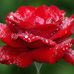 Susan Noon - Facebook