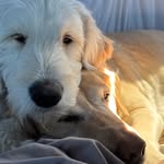 Susan Northrup - @zuzukodaadventures - Instagram