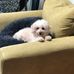 Susan Nutt - Facebook