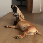 Susanne Nygaard - @susannenygaard5024 - Instagram