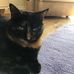 Susan Oates - Facebook