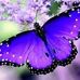 Susan Offutt - Facebook