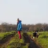 Susan Holding - @susanholding - TikTok