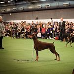 Susan Van Orman Claggett - @susanclaggett - Instagram