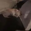 susanorman579 - @susanorman579 - TikTok