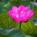 Suzan Orman - Facebook