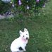 Sue Ormiston - Facebook