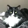 Susan Ormiston619 - @snoo2103 - TikTok